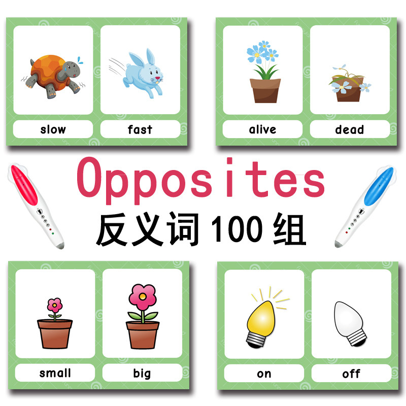 100 Kartu Flashcard Kata Bahas - Kids Education And You ulasan dan harga