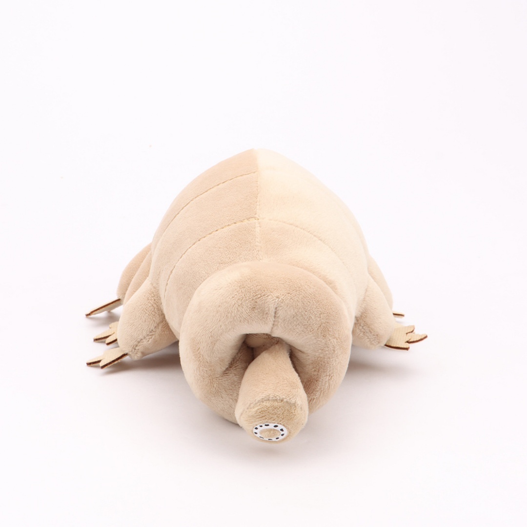 Boneka Beruang Air Tardigrade  - Kids Education Movies ulasan dan harga
