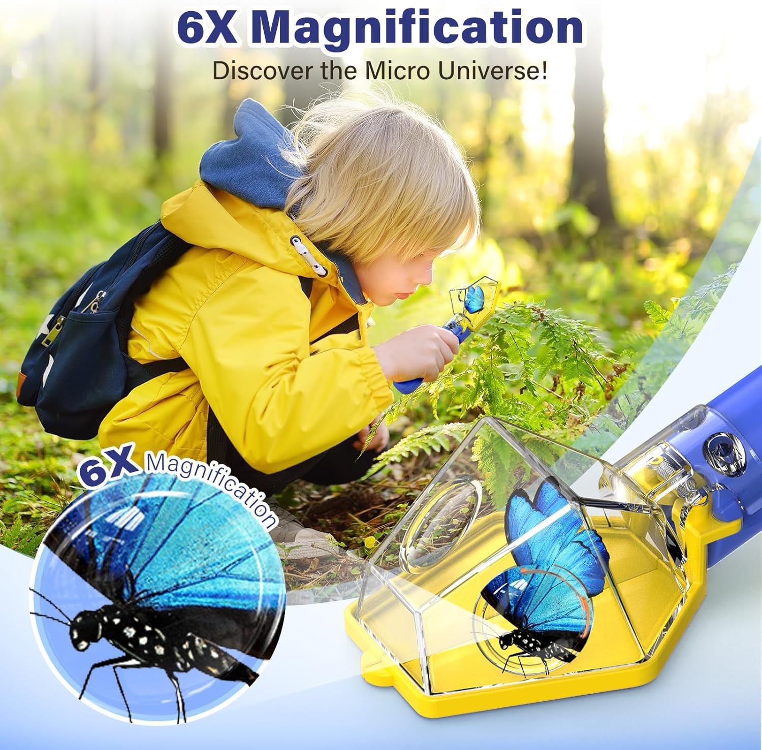 Kotak Pengamat Serangga 6X Mag - Kids Educational Box ulasan dan harga